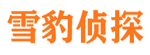 顺义外遇调查取证